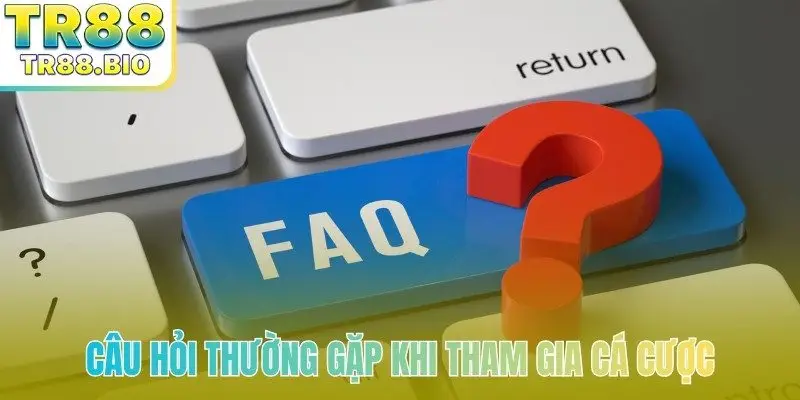 Câu hỏi thường gặp khi tham gia cá cược